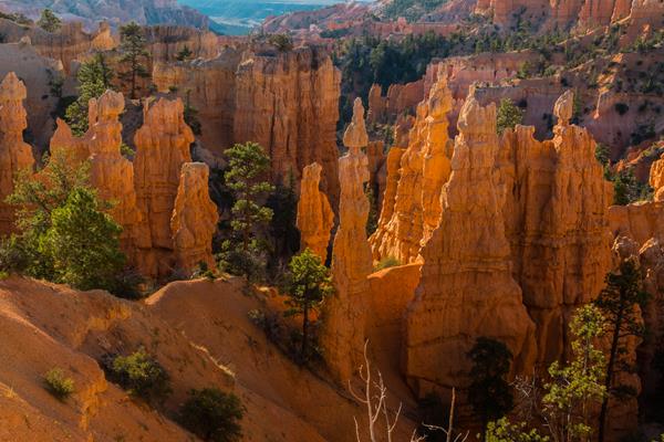 An overhead photo of red rock formations that appear to be glowing in the sun