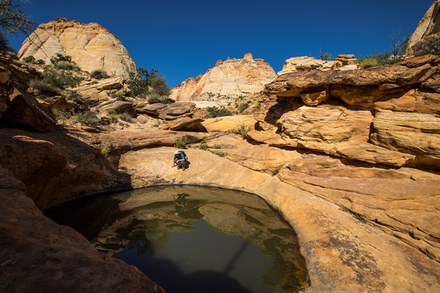 A man crouches beside a still pool of water in tan sandstone on the Capitol Gorge Trail
