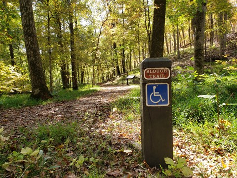 A leaf bottom trail with sign post and handicap sign in a forest.
