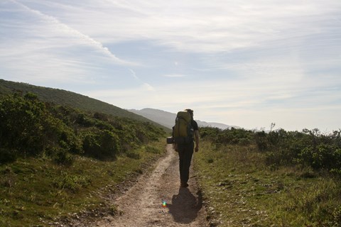 A hiker silhouetted by sunlight, on a dirt trail through a hillside of coastal shrub
