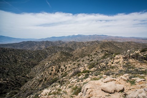 A landscape filled with hill and mountain peaks topped with desert shrubs.