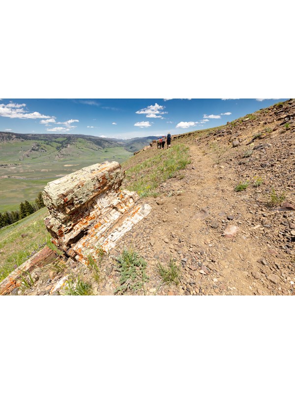 A trail travels past a piece of petrified wood on a ridgeline.
