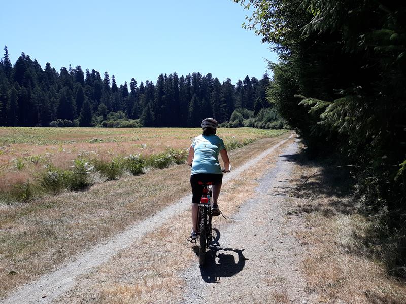 Bike the Davison/Streelow Creek Loop