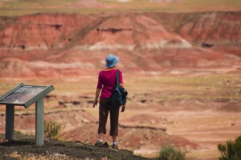 Woman stopped next to a wayside exhibit looking towards red badlands in the background