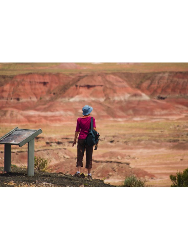 Woman stopped next to a wayside exhibit looking towards red badlands in the background
