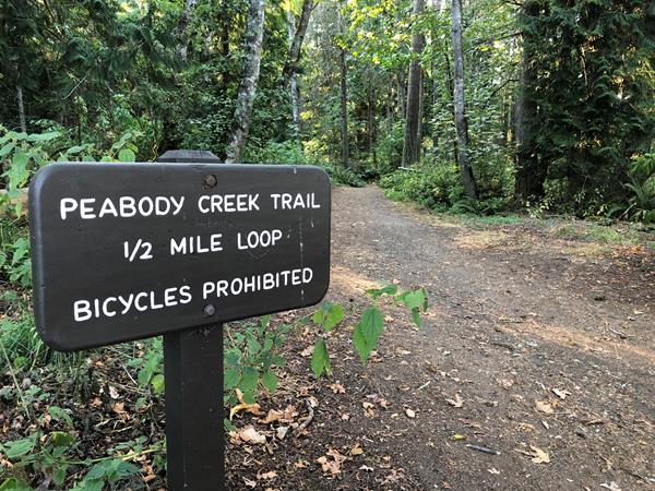 A trailhead with a sign that reads "Peabody Creek Trail."