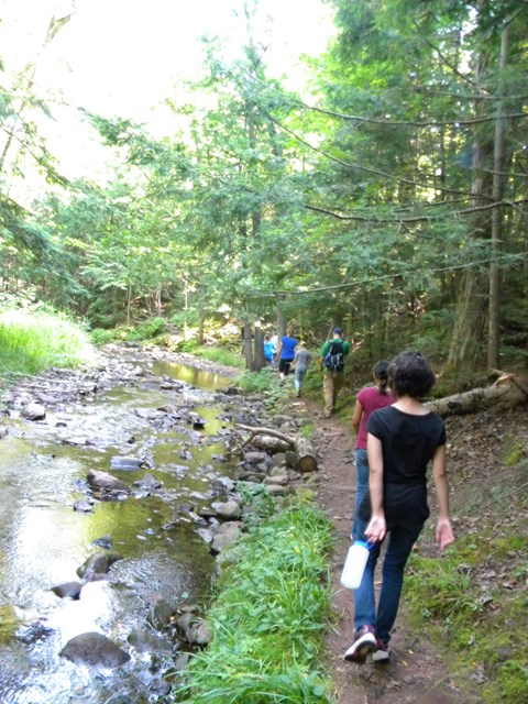 Hikers walk on a narrow dirt path next to a river with tall trees on the riverbank.