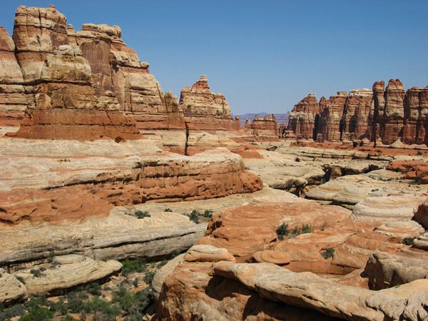 Multicolored sandstone spires spring up from a canyon