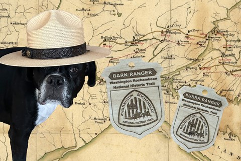 A dog wearing a ranger had in edited in front of historic trail map with a wooden badges.