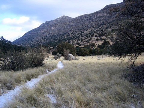 A gravel trail cuts through a grassy meadow with a tall desert mountain cliff rising behind.