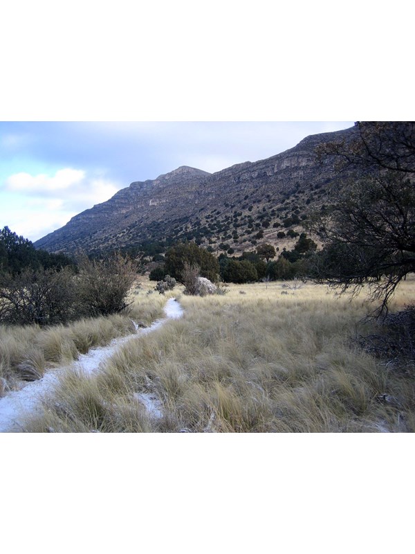 A gravel trail cuts through a grassy meadow with a tall desert mountain cliff rising behind.