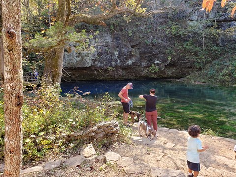 A family and dogs by the side of a blue spring with a rock trail.