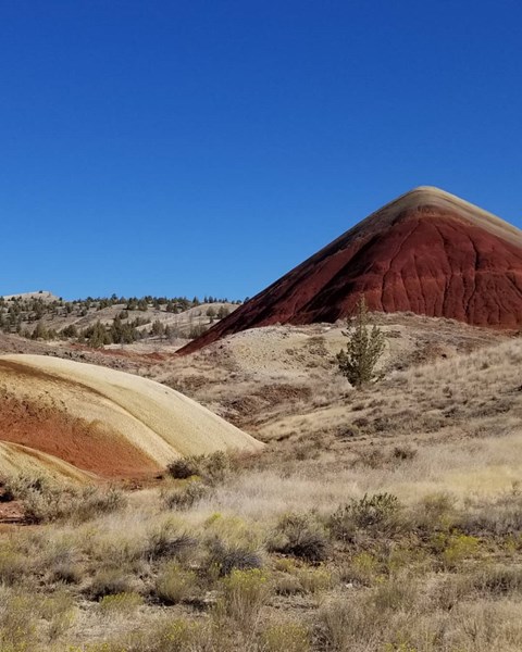 Red and yellow claystone hills
