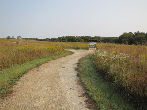 A kiosk stands next to a white gravel trail through tall grasses and flowers.
