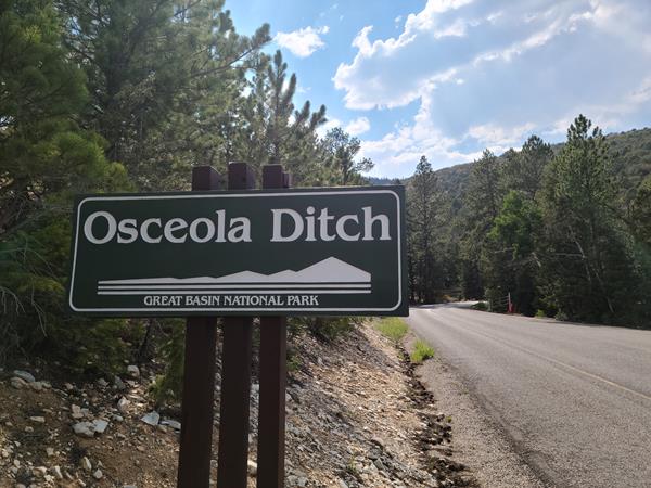 Green sign with the text "Osceola Ditch" next to a road surrounded by green pine trees