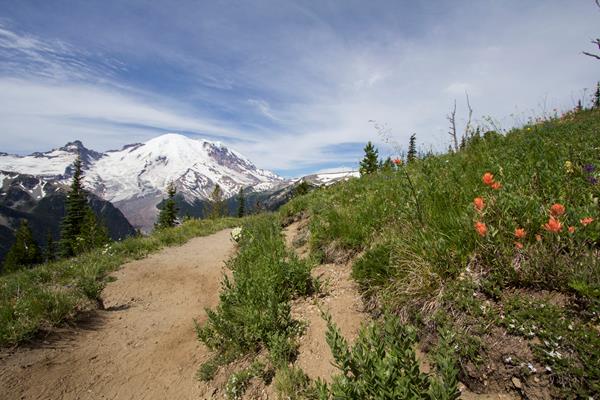 Subalpine meadow and trail with Mount Rainier in the background.