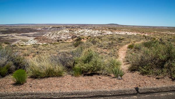 View along the escarpment of the mesa with a narrow dirt trail heading off through the shrubs