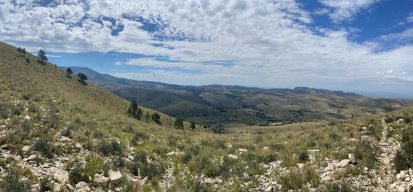 From a high point, a desert grasslands stretches into the distance with ridges in the background.