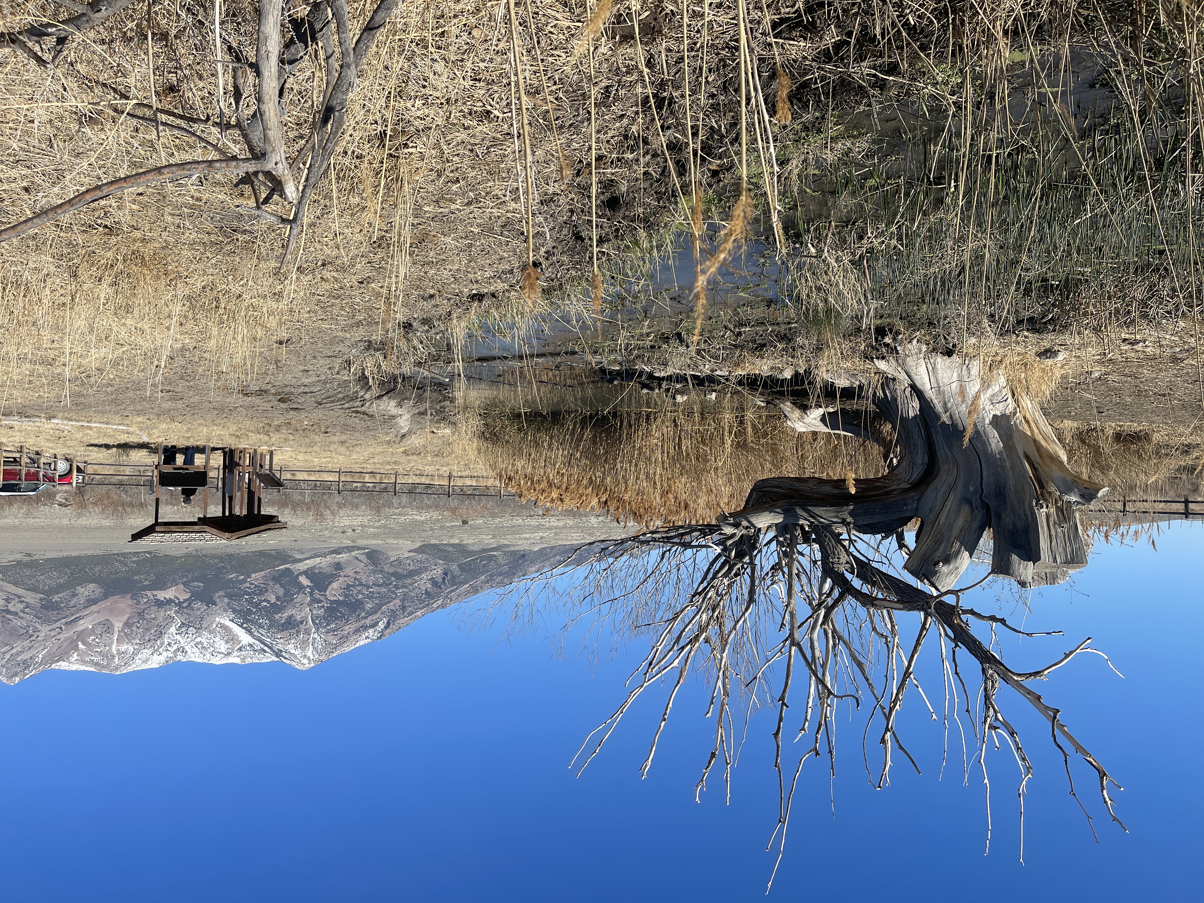 Donner Springs