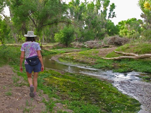 A hiker walks on a trail next to a narrow river, cottonwood trees in the distance