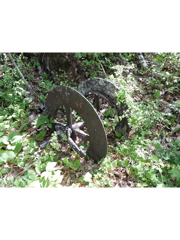 A lichen covered rusting wheel from the mining era lies in the brush on Little America Island