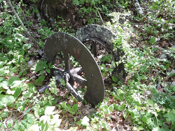 A lichen covered rusting wheel from the mining era lies in the brush on Little America Island