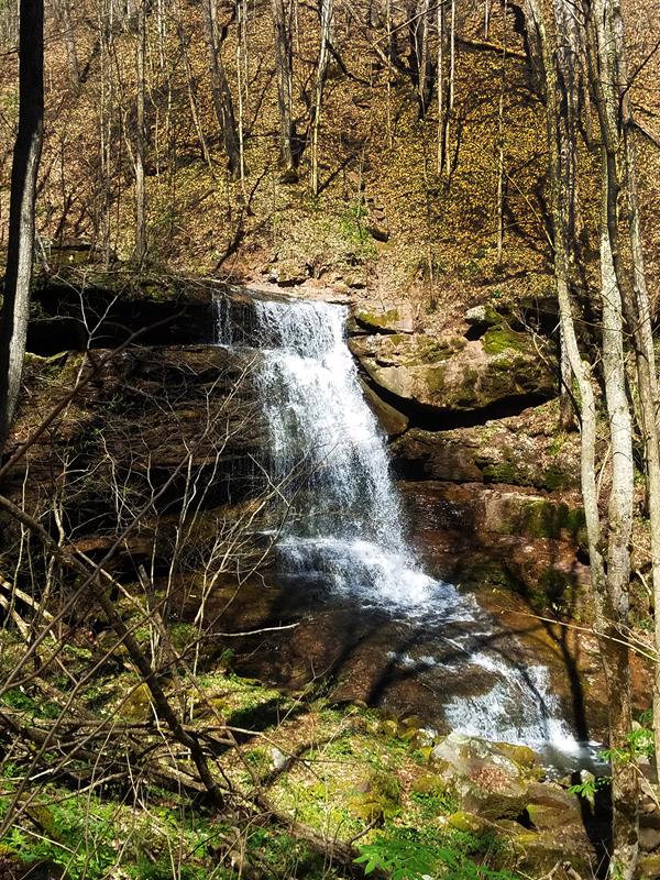 Water falling down brown sand-colored rocks in a forest of trees and green plants