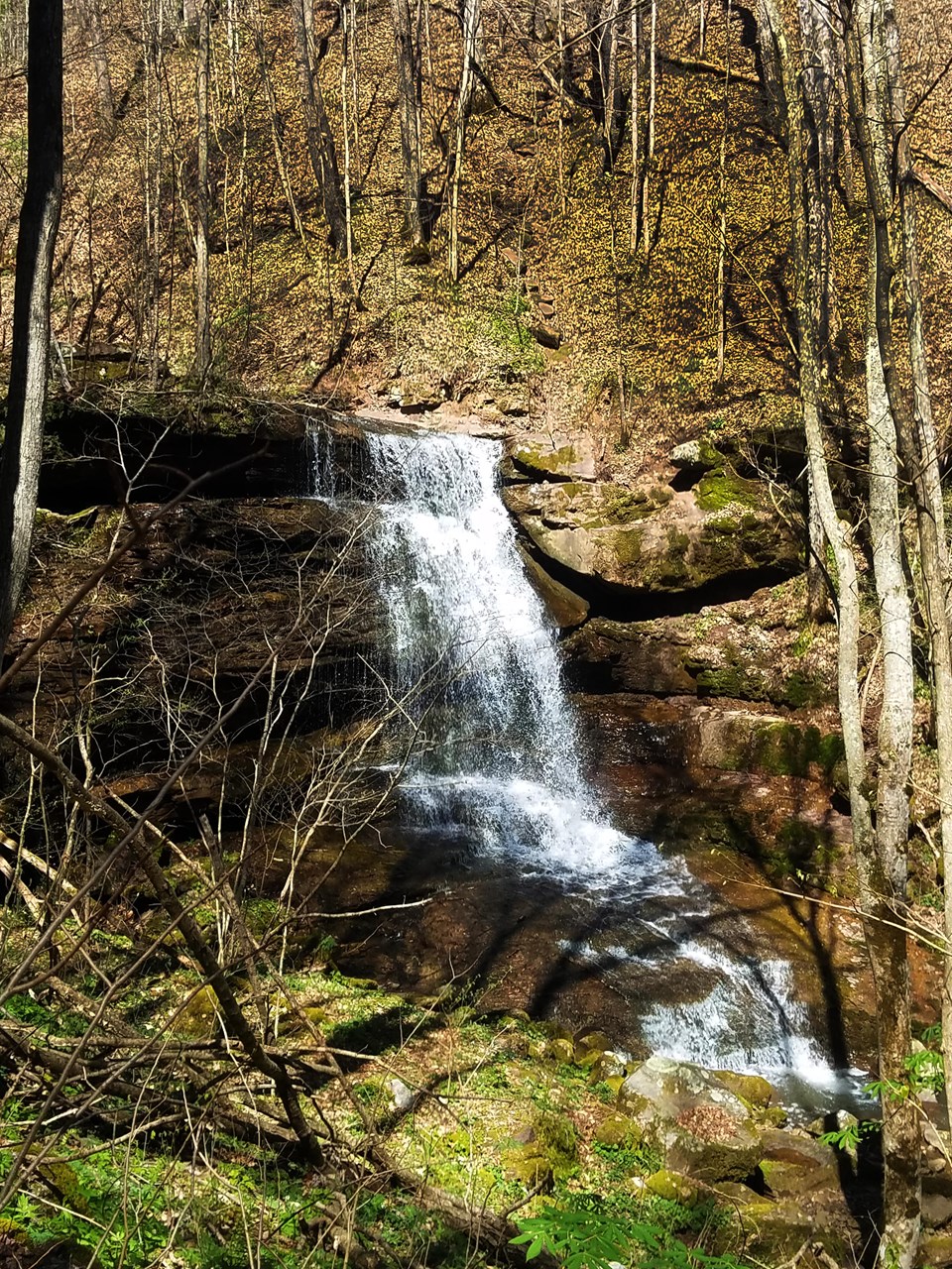 Water falling down brown sand-colored rocks in a forest of trees and green plants