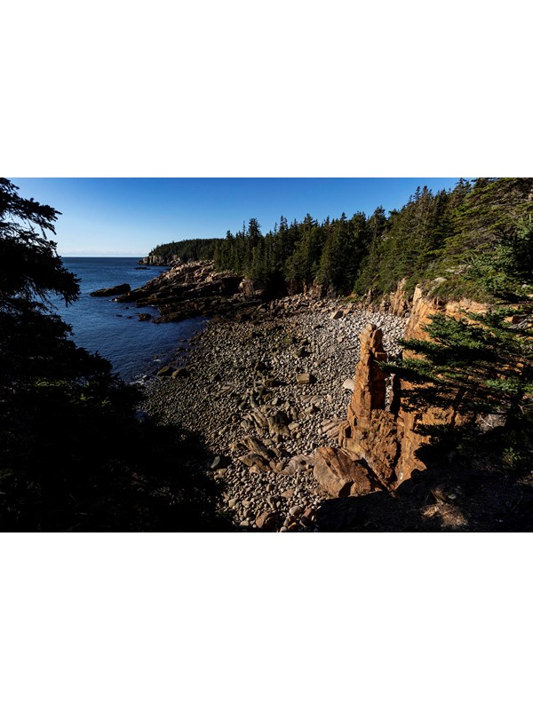 A rocky ocean seashore with trees and cliffs in the background.