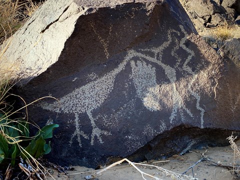A petroglyph of a bird and a footprint on a dark volcanic boulder.