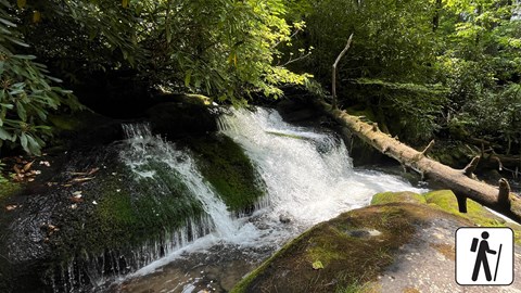 A stout waterfall cascading into a pool near a large boulder. A fallen tree in right frame.