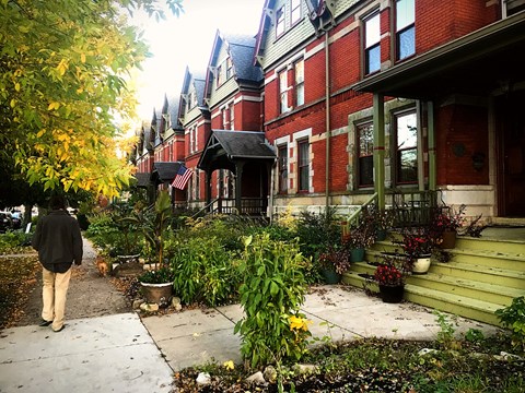 A visitor and his dog on a Pullman street with rowhomes on the right of the frame