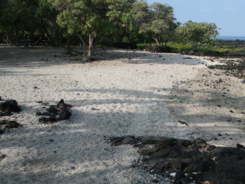 Kaloko FIshpond