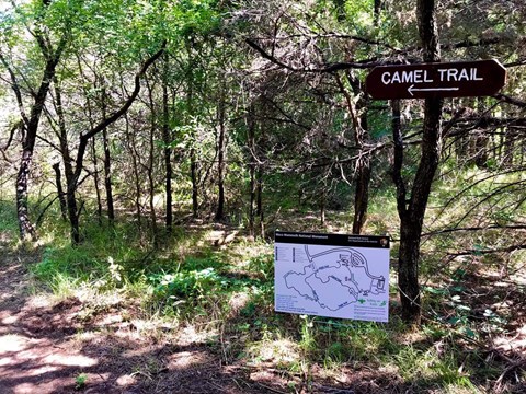 A brown sign with the white letters points the way to Camel Trail.
