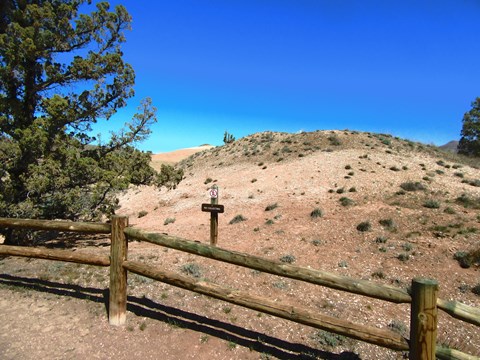 A brown hill covered with leaf fossils with a short wooden fence in front.