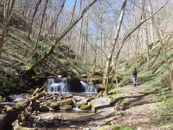 Colored photograph of a hiker next to a cascading brook