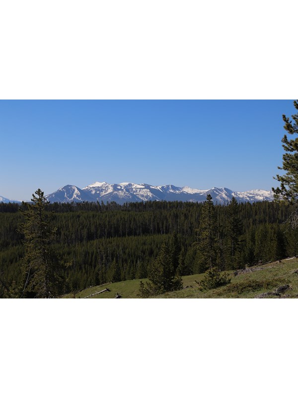 A broad mountain rises above a forested slope.
