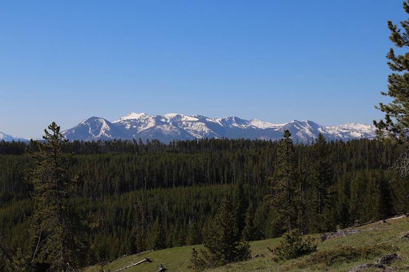 Yellowstone Lake Overlook Trail