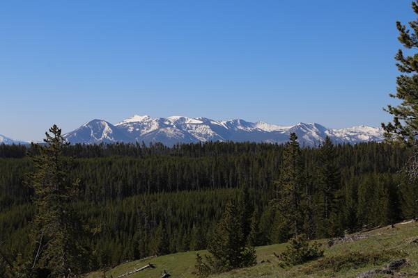 A broad mountain rises above a forested slope.