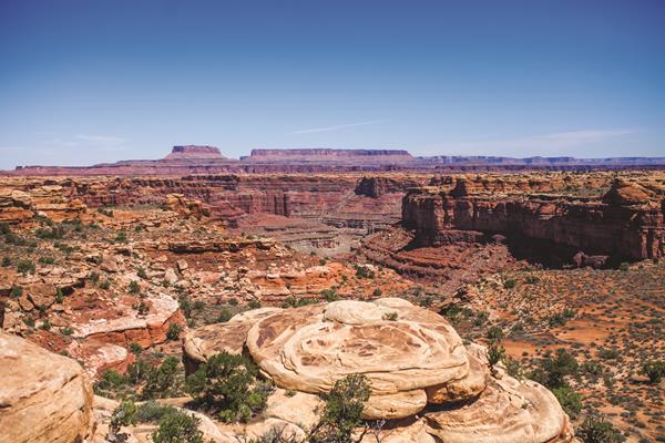 A sweeping view of multicolored sandstone canyons on a bright, clear day.