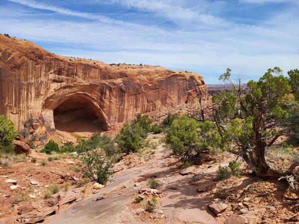 A large shaded alcove underneath a streaked sandstone wall