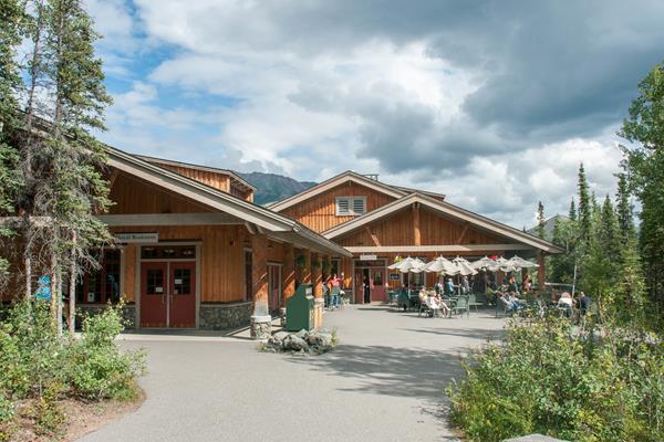 Several one-story buildings amid spruce trees