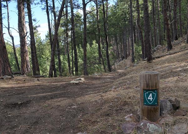 Post #4 Water: Substance of Life