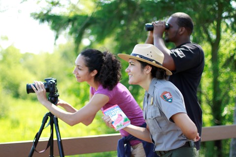 Bird Watching at the Great Marsh