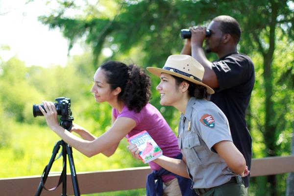Bird Watching at the Great Marsh