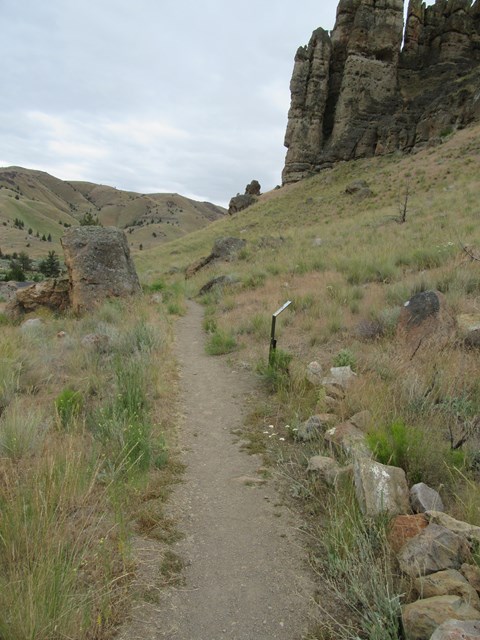 A gravel path goes through grass and shrubs