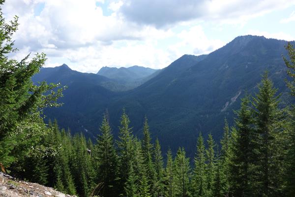 A view of a forested river valley and surrounding mountain peaks.