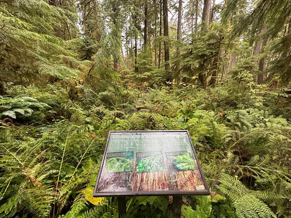 A exhibit panel in a metal frame surrounded by dense shrubs and foliage.