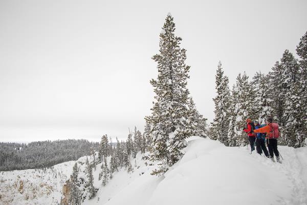 Skiers stop to admire the views of the Grand Canyon of the Yellowstone from the North Rim Trail.