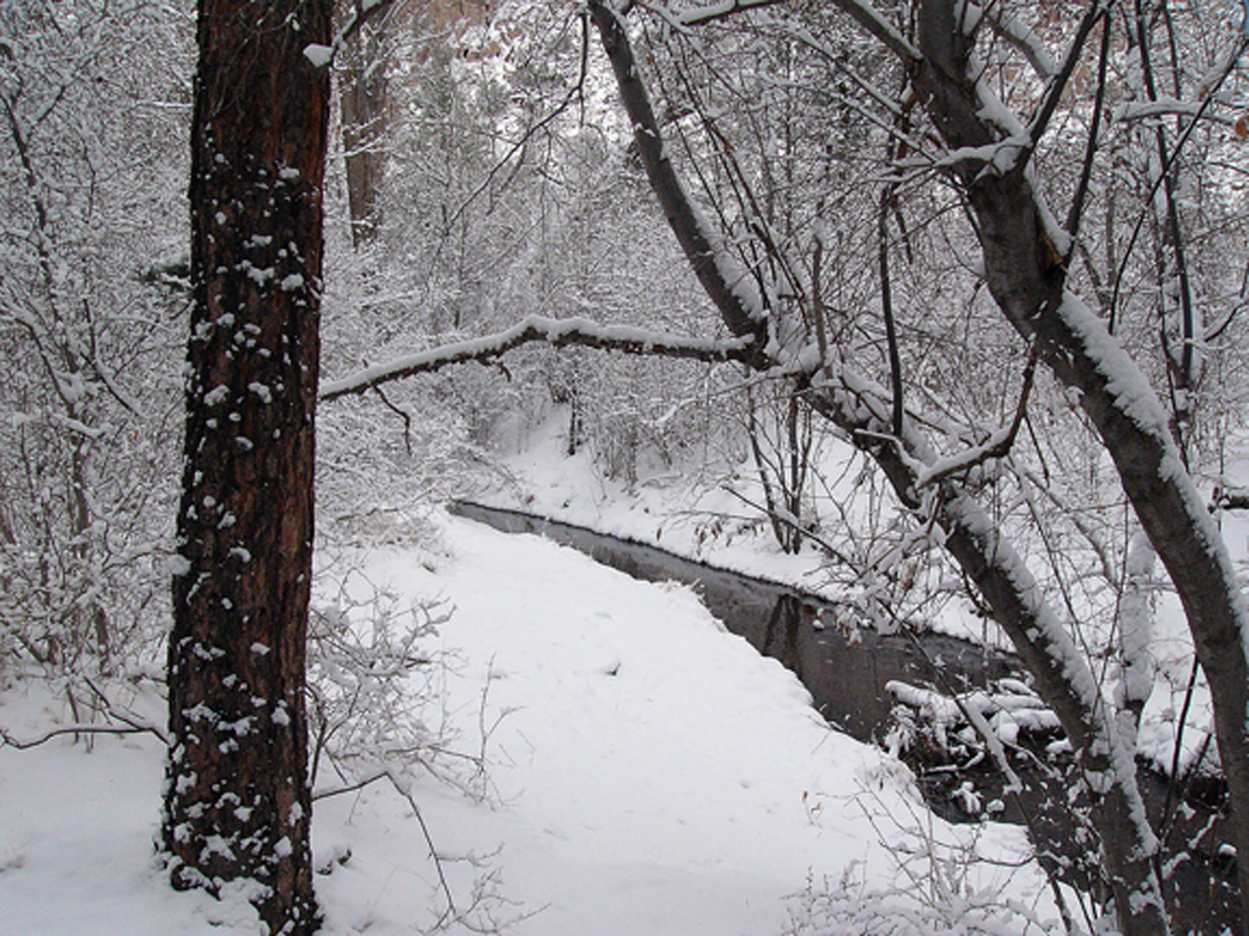 Frijoles Creek Pueblo Loop Trail Stop 3